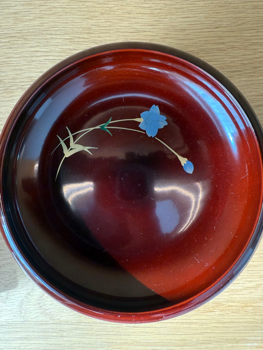 Set of 5 Vintage Lacquerware Plates